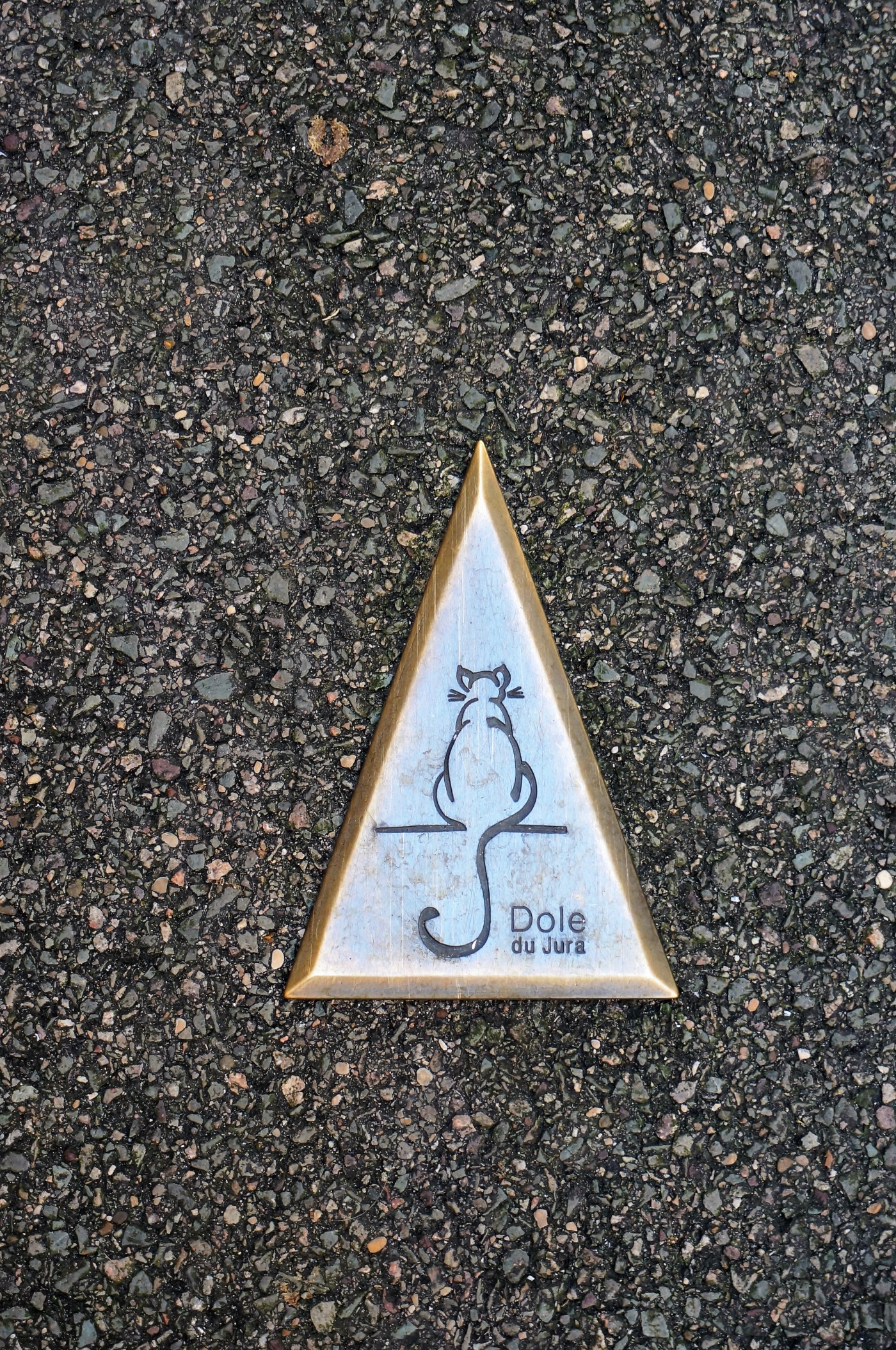 dsc052511.jpeg