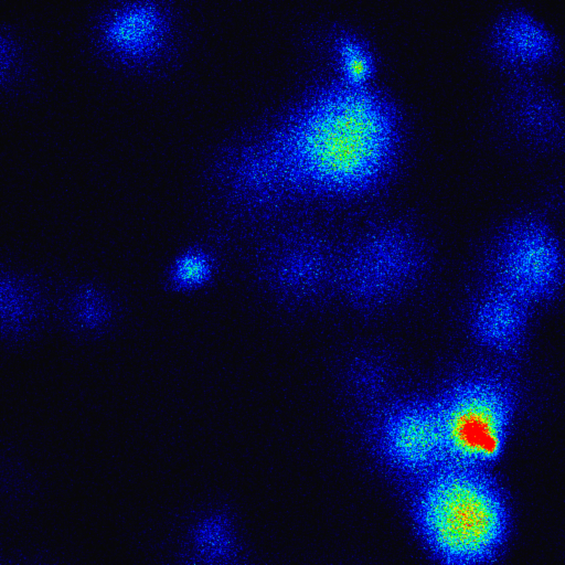institutpasteur_34071.jpg