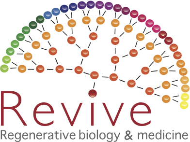 logo_revive_0.png