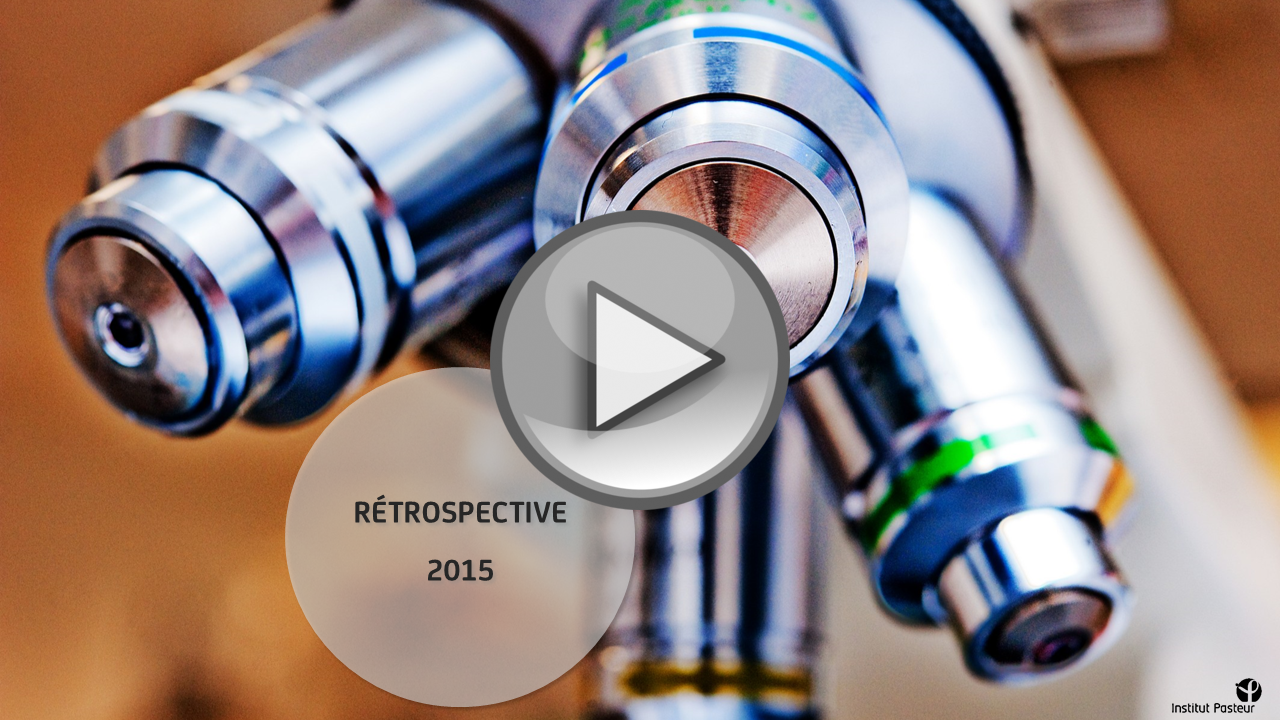 retrospective-2015.png