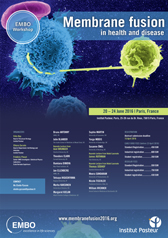 vignette_membranefusion_72dpi.jpg